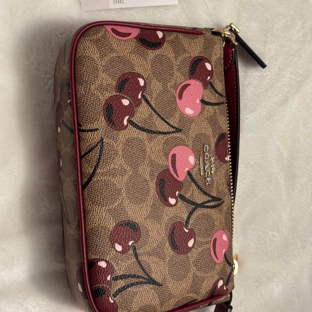 Coach Cherry Nolita 19